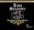 Barnabas Collins and the Mysterious Ghost, Volume 13