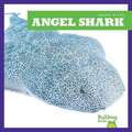 Angel Shark