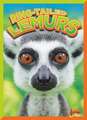 Ring-Tailed Lemurs