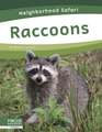 Raccoons