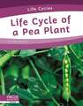 Life Cycle of a Pea Plant