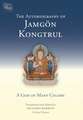 The Autobiography of Jamgon Kongtrul: A Gem of Many Colors