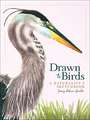 Drawn to Birds: A Naturalist's Sketchbook