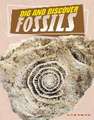 Dig and Discover Fossils