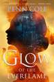 Glow of the Everflame: A Novel