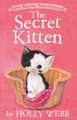 The Secret Kitten