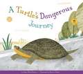 A Turtle's Dangerous Journey