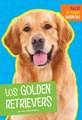 Los Golden Retrievers