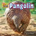 Pangolin