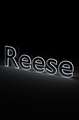 Reese: Blank Notebook with Dot Grid Border