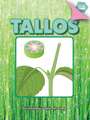 Tallos: Stem