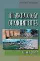 Archaeology of Ancient Cities