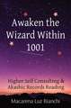 Awaken the Wizard Within 1001