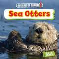 Sea Otters