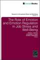 The Role of Emotion and Emotion Regulation in Job Stress and Well Being