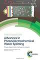 Advances in Photoelectrochemical Water Splitting