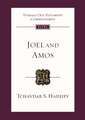 Joel and Amos – An Introduction And Commentary