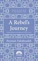 A Rebel's Journey