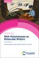 RNA Polymerases as Molecular Motors