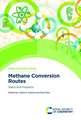 Methane Conversion Routes