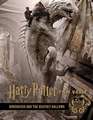 Harry Potter The Film Vault Volume 3