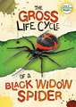 The Gross Life Cycle of a Black Widow Spider