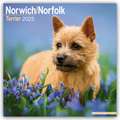 Norfolk Terrier 2025 - 16-Monatskalender - Original Avonside-Kalender [Mehrsprachig] [Kalender]