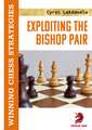 Exploiting the Bishop Pair