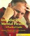 Introducing Mental Health: A Practical Guide