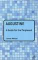 Augustine: A Guide for the Perplexed