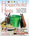 Costantino, M: Household Hints