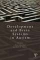 Development and Brain Systems in Autism