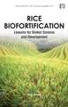 Rice Biofortification: Lessons for Global Science and Development