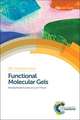 Functional Molecular Gels