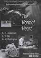 Echo-Morphologic Correlates: The Normal Heart (with Video) [With *]