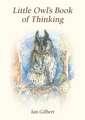 Little Owl's Book of Thinking