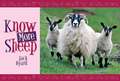 Know More Sheep