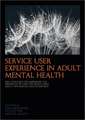 Service User Experience in Adult Mental Health