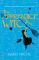 The Apprentice Witch