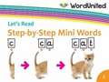 Step-by-Step Mini Words