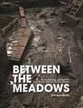 Between the Meadows: The Archaeology of Edercloon on the N4 Dromod-Roosky Bypass