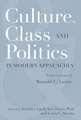 CULTURE, CLASS, AND POLITICS IN MODERN APPALACHIA: ESSAYS IN HONOR OF RONALD L. LEWIS