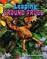 Leaping Ground Frogs