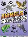 Animals & Skeletons Activity Book