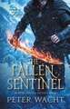 The Fallen Sentinel