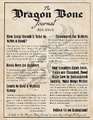 The Dragon Bone Journal