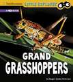 Grand Grasshoppers: A 4D Book