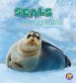 Seals Are Awesome