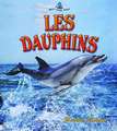 Les Dauphins