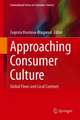 Approaching Consumer Culture: Global Flows and Local Contexts